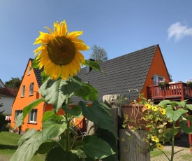 Sonnenblumen Haus