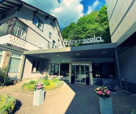 Harz Hotel & Spa Seela