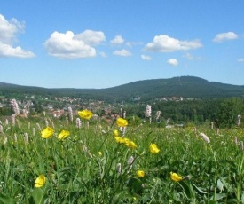 Harzpension Haus Königskopf