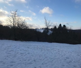 App 613 Panoramic Hohegeiß Terrassenhaus