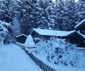 Waldsee Ferienhaus mit Kamin,W-Lan