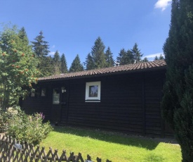 Wooden bungalow with oven, in Oberharz near a lake